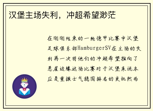 汉堡主场失利，冲超希望渺茫
